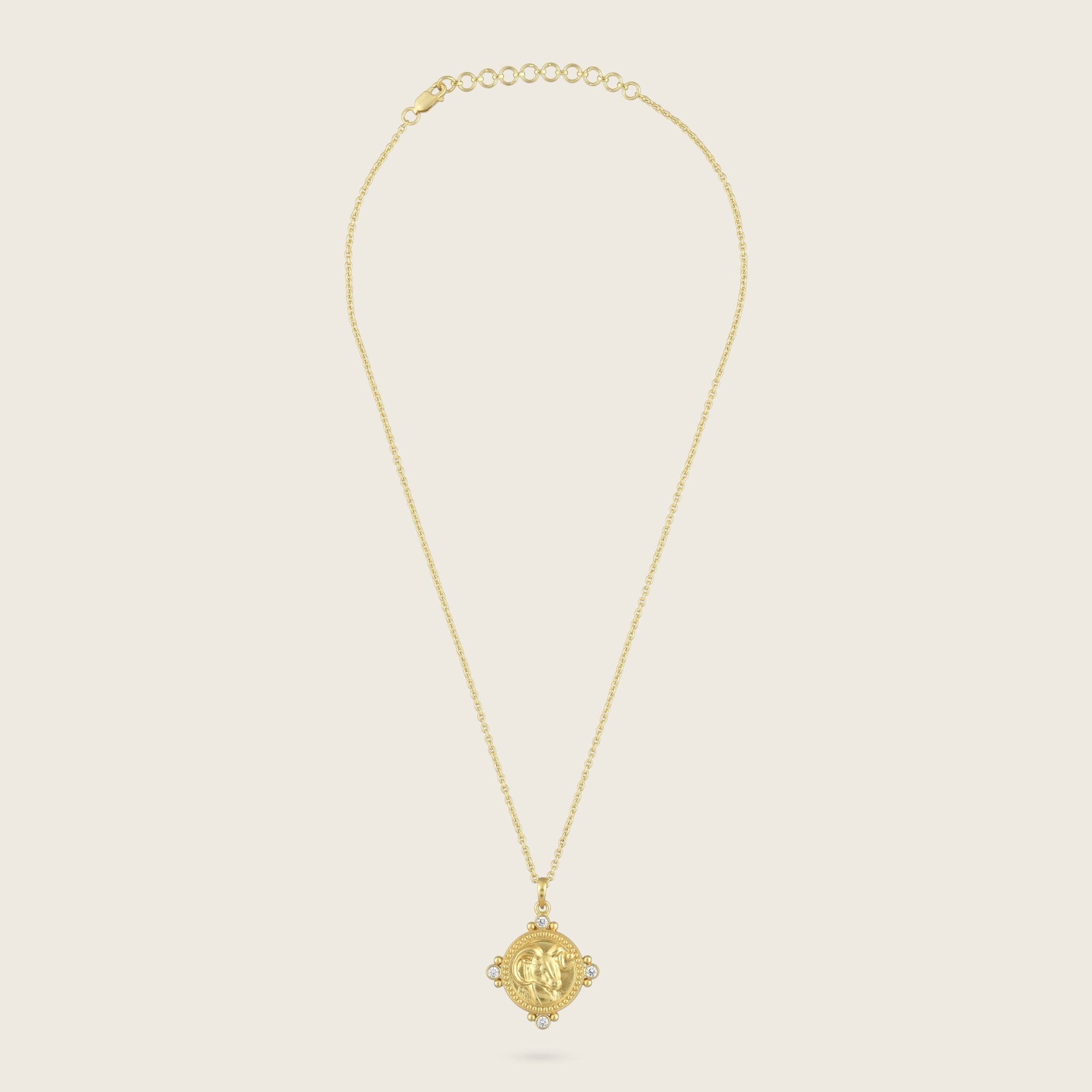The Aries Zodiac Amulet Necklace – Kensho Heirlooms