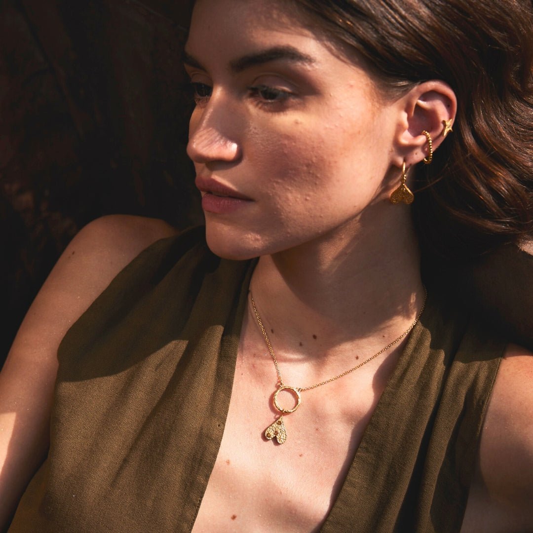 The Seeds of Hope - Kensho Heirlooms